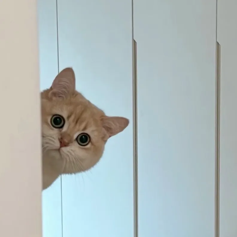 德学院-最专业的华人德州扑克学习与策略分享社区