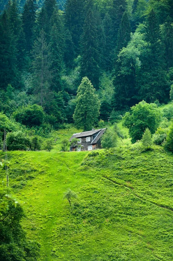 德学院-最专业的华人德州扑克学习与策略分享社区
