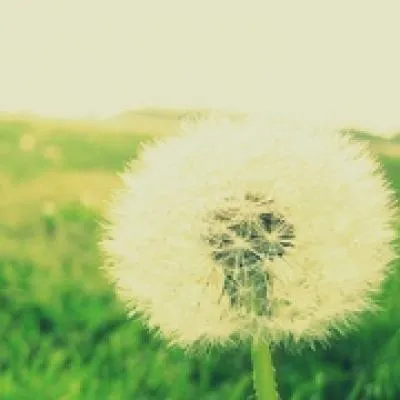 德学院-最专业的华人德州扑克学习与策略分享社区